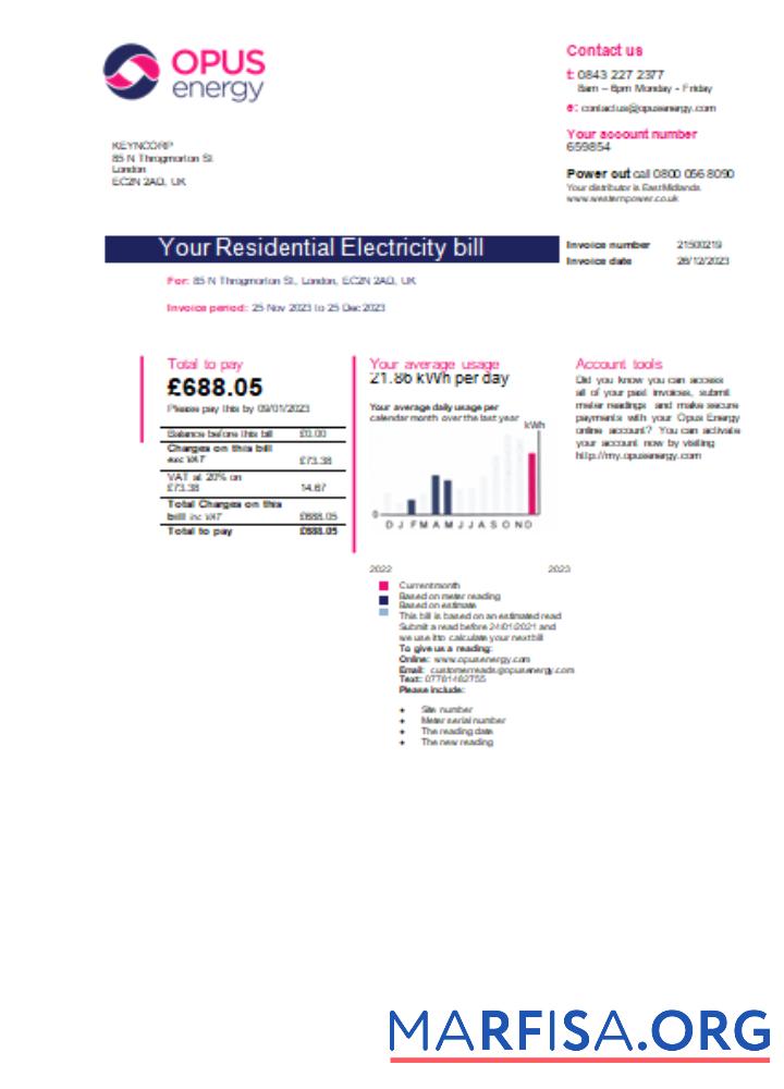 Blank Opus Energy electricity utility business bill, page 1, SCR sample